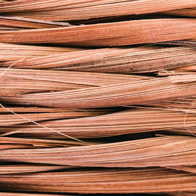 Carrying the Torch — How Hitanshu Mehta is Modernizing a Family Legacy